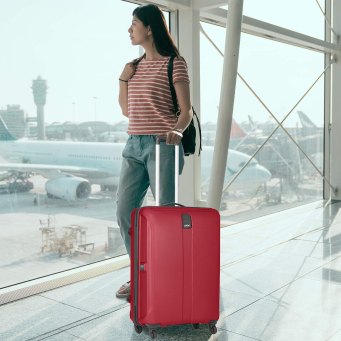 Valises et sacs &agrave; chariot