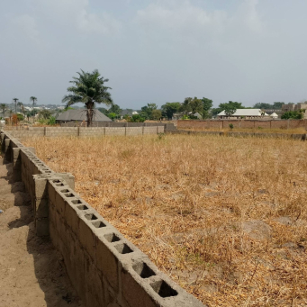 الأرض الخام